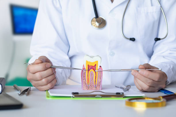 Best Emergency Gum Treatment in Campbellsport, WI
